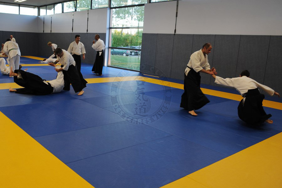 Cours Aïkido adultes 2013/2014