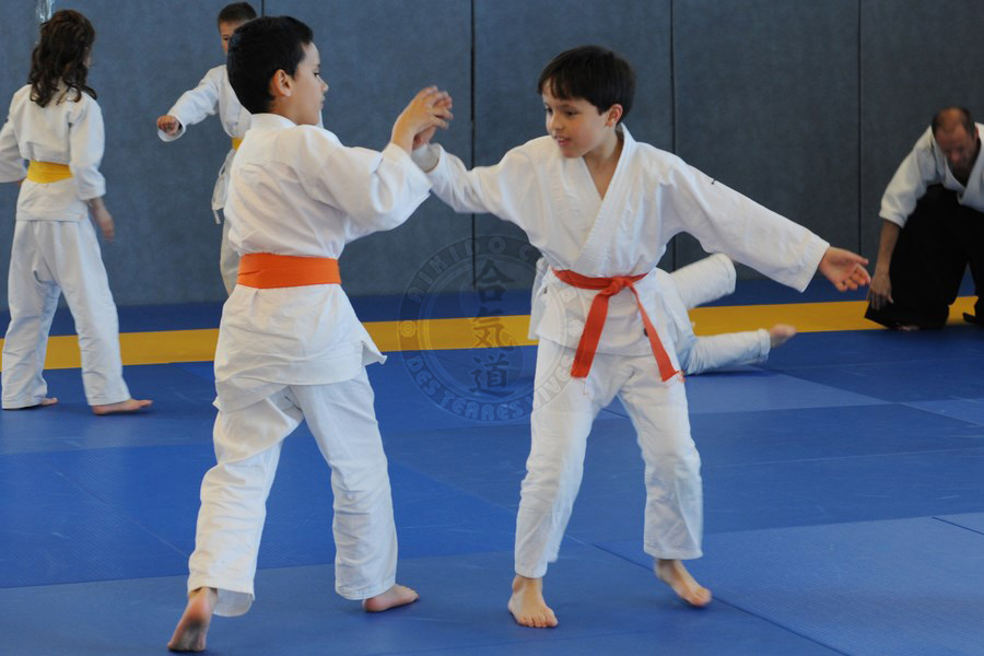 Cours Aïkido enfants 2013/2014